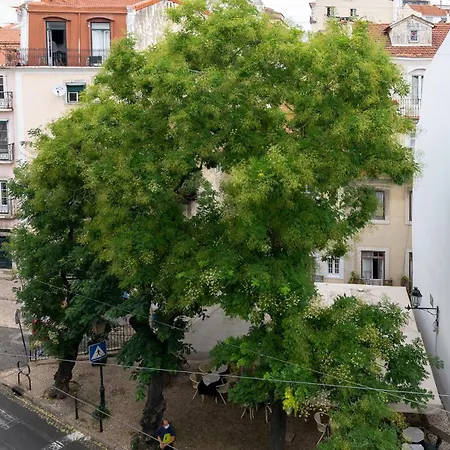 Lejlighed Portas Do Ceu